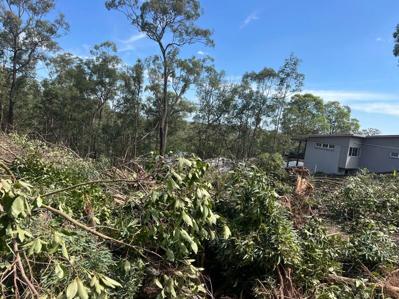 Felled timber windrowed away from the neighbouring house at Browns Plains