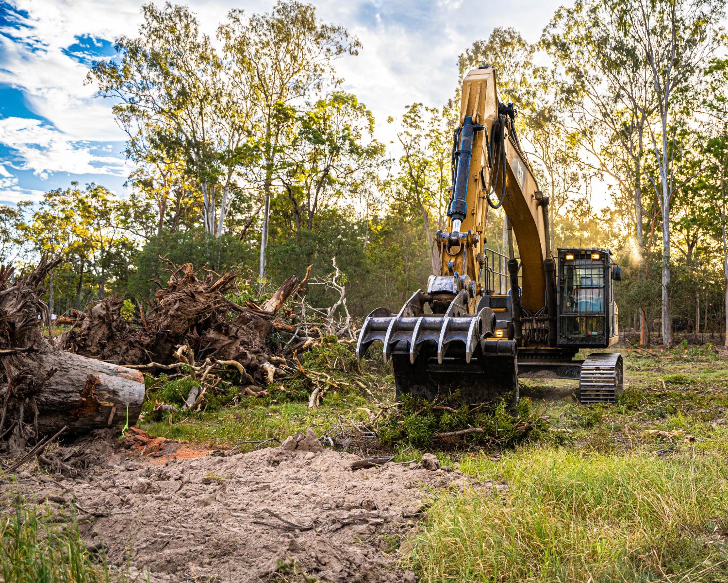 Excavator with grapple clearing felled trees and stumps