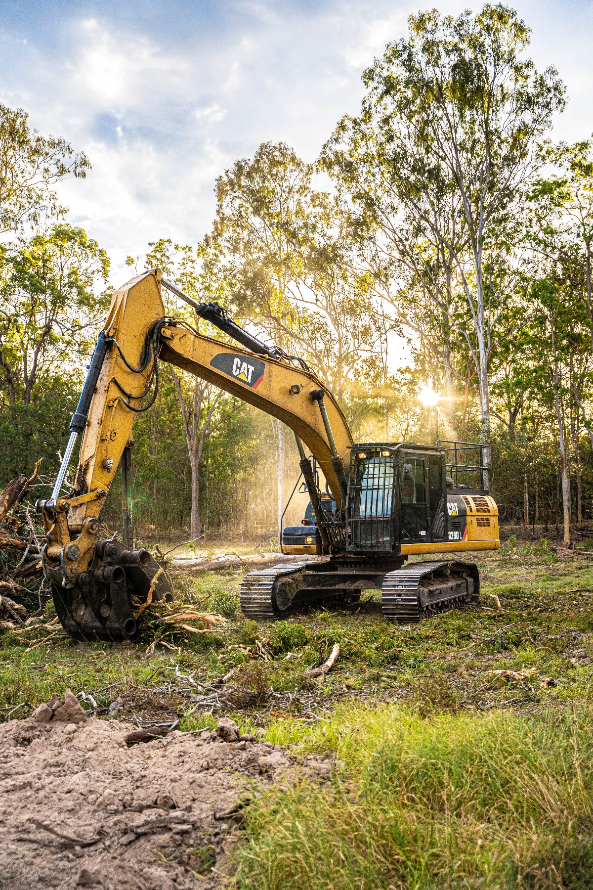Tree Eaters excavator working into the sunset