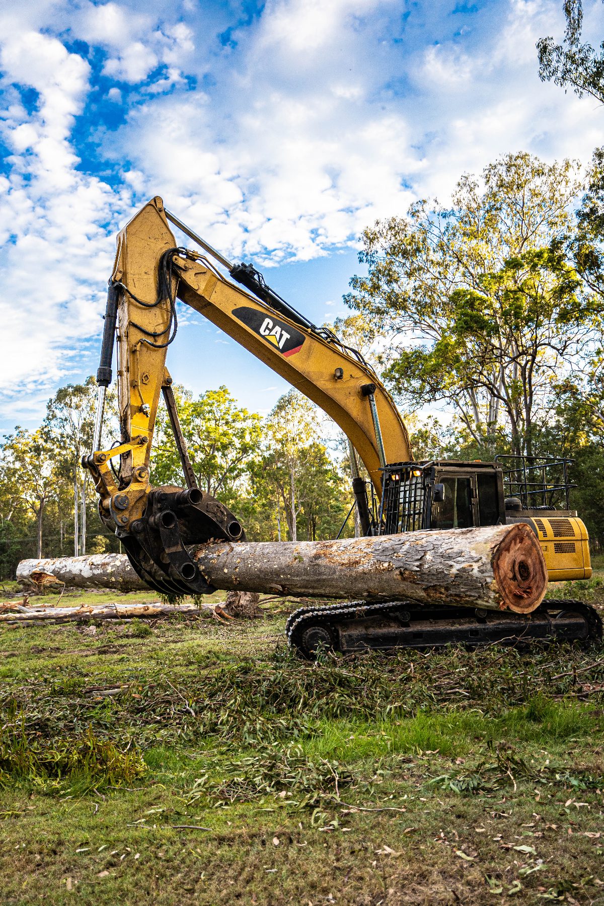 Excavator grapple holding a salvaged log