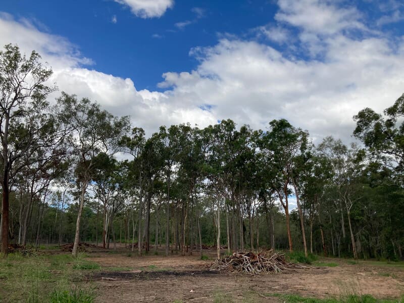 Partly cleared paddock edge at Park Ridge South with debris piles