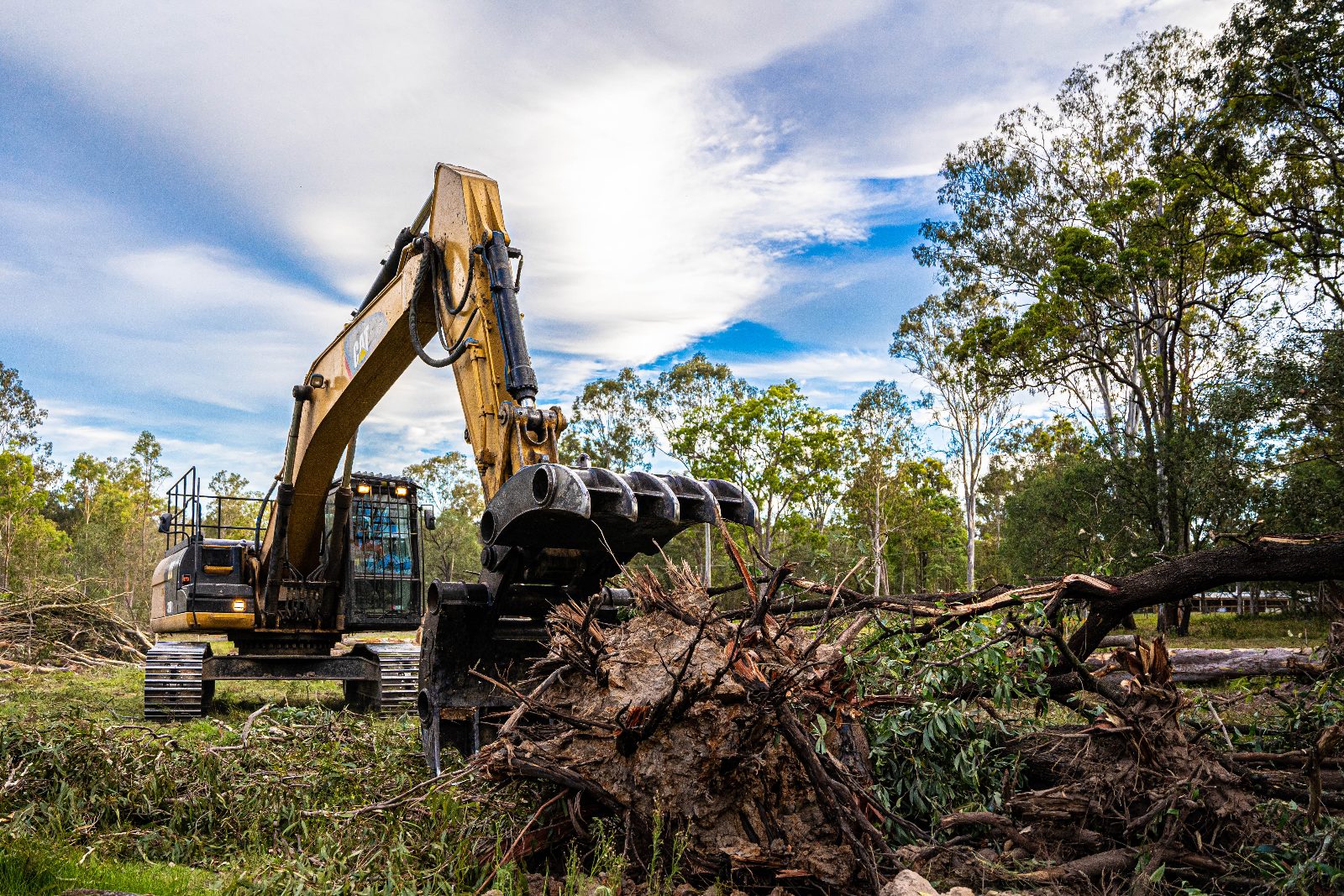Tree Eaters excavator grapple clearing a root ball and regrowth while established trees stay standing