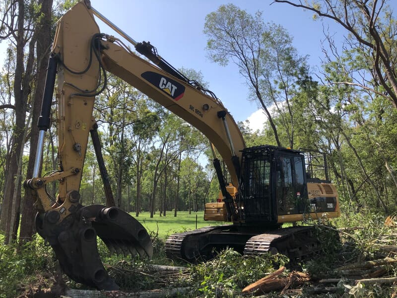 Cleared understorey opening onto green paddock at Stockleigh Rd